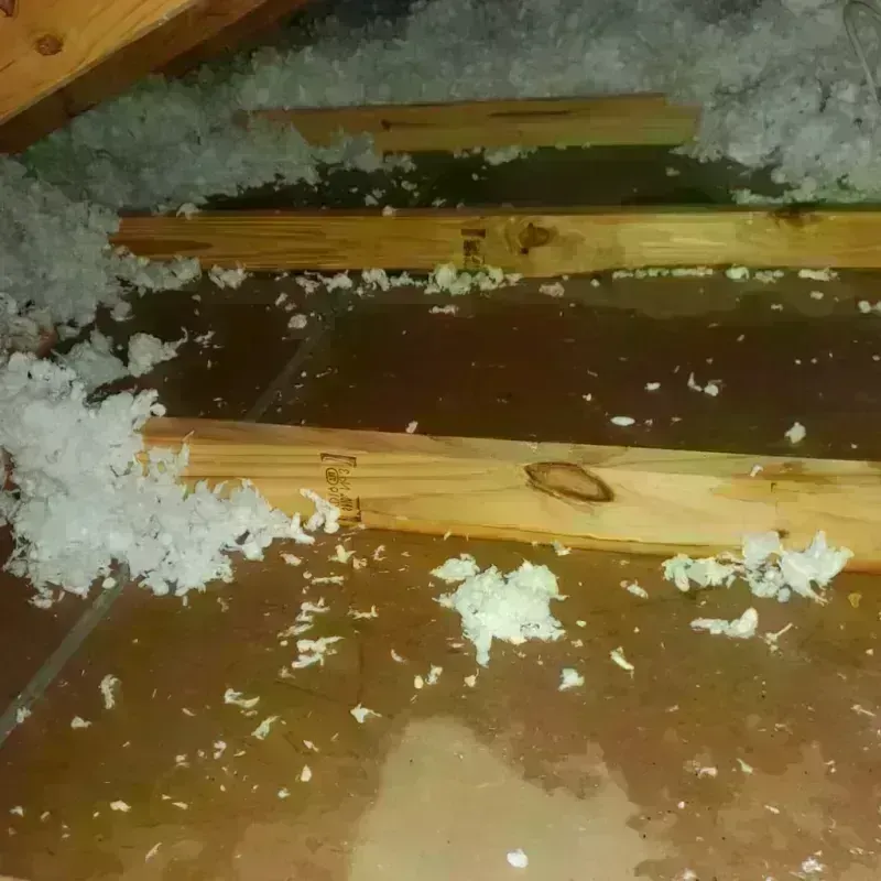 Attic Water Damage in Vian, OK