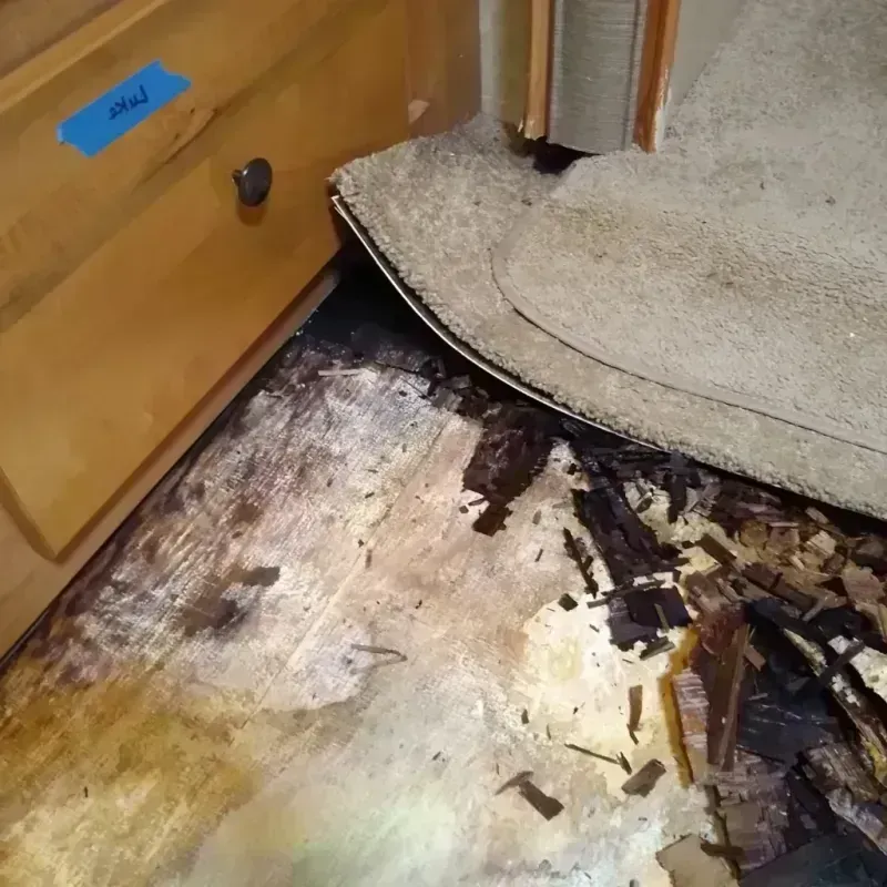 Best Wood Floor Water Damage Service in Vian, OK